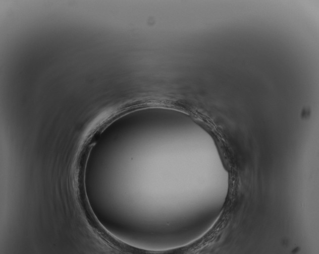 X0000097980197200804011752