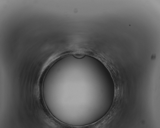 X0000097980198200804011752