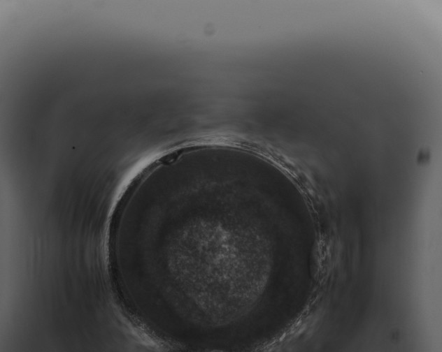 X0000097980200200804011752