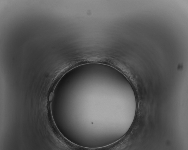 X0000097980201200804011752
