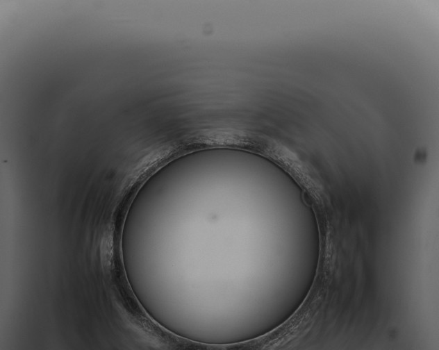 X0000097980202200804011752