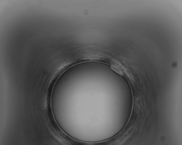 X0000097980203200804011752