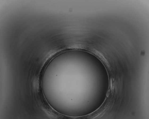 X0000097980204200804011752