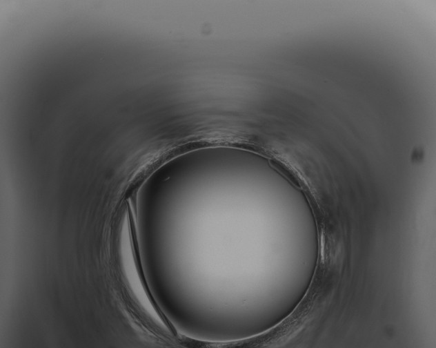 X0000097980205200804011752