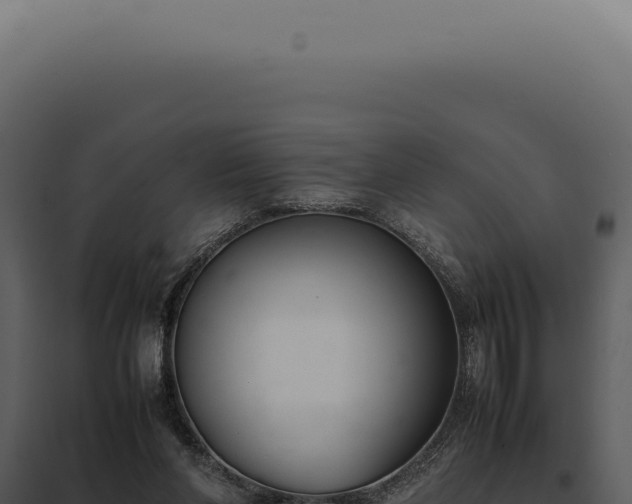 X0000097980206200804011752