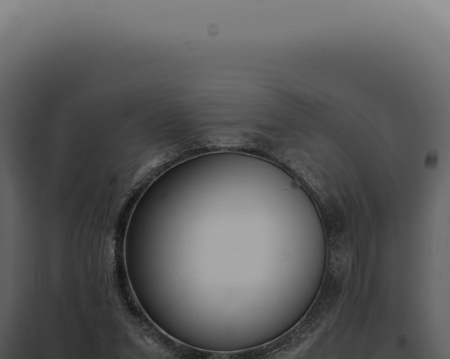 X0000097980207200804011752