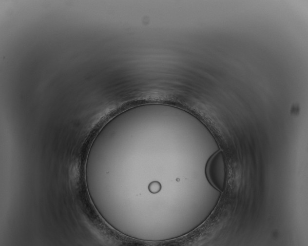 X0000097980208200804011752