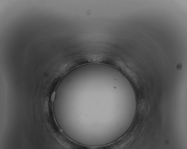 X0000097980209200804011752