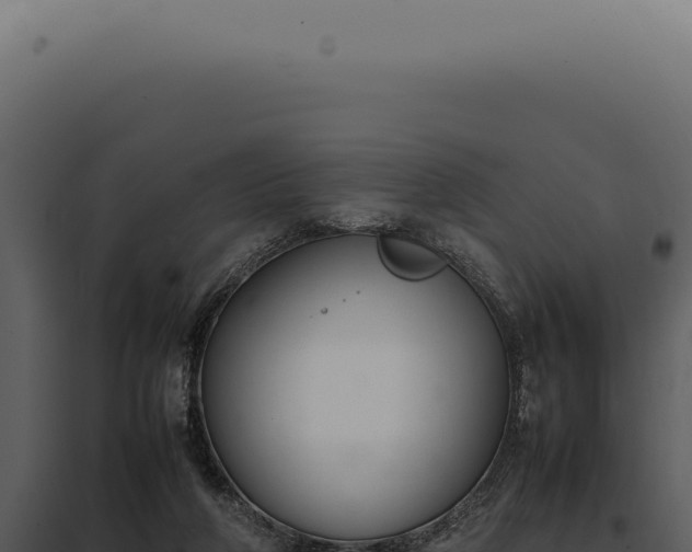 X0000097980210200804011752