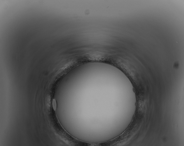 X0000097980211200804011752
