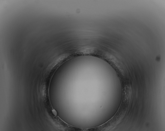X0000097980212200804011752