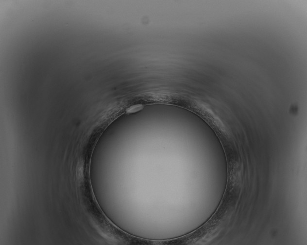 X0000097980213200804011752