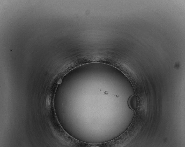 X0000097980214200804011752