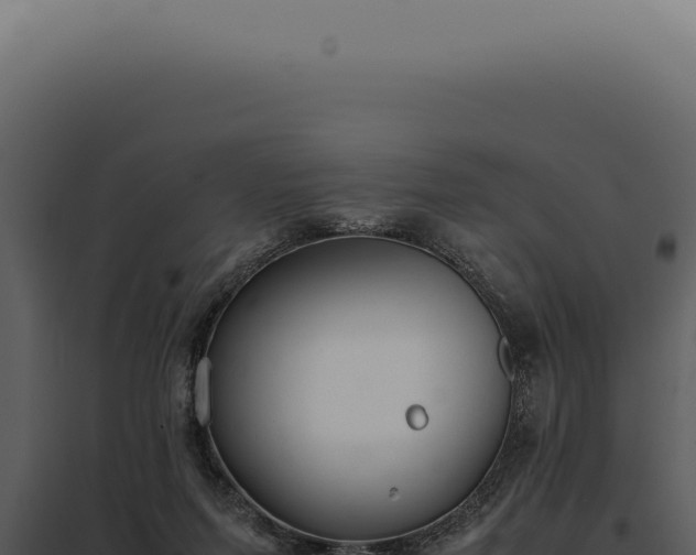 X0000097980215200804011752