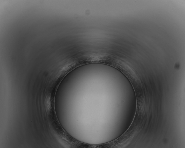 X0000097980216200804011752