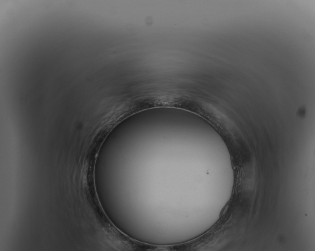 X0000097980217200804011752
