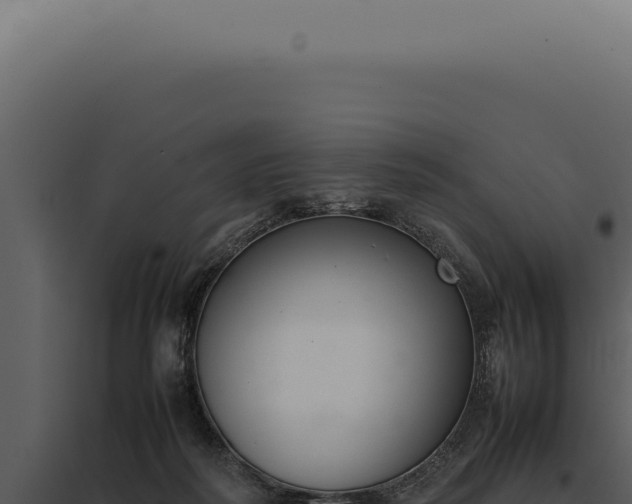 X0000097980218200804011752