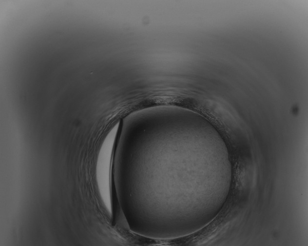 X0000097980219200804011752