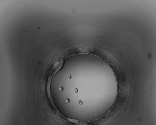 X0000097980221200804011752