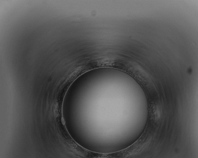 X0000097980224200804011752