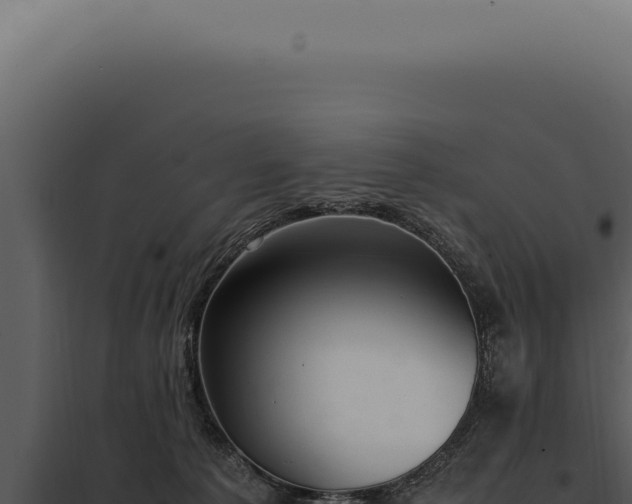 X0000097980225200804011752