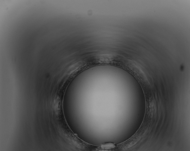 X0000097980228200804011752