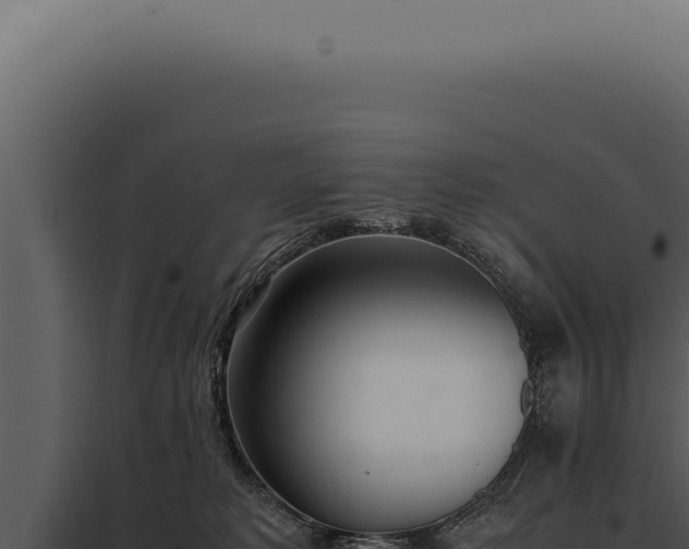 X0000097980229200804011752