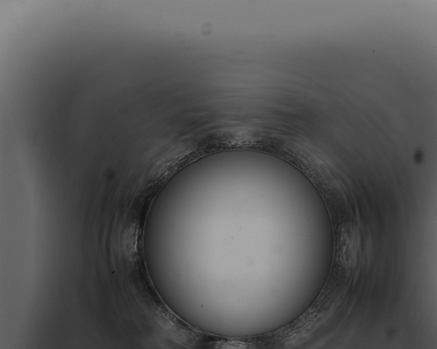 X0000097980230200804011752
