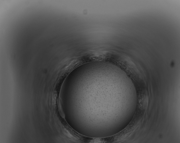 X0000097980231200804011752