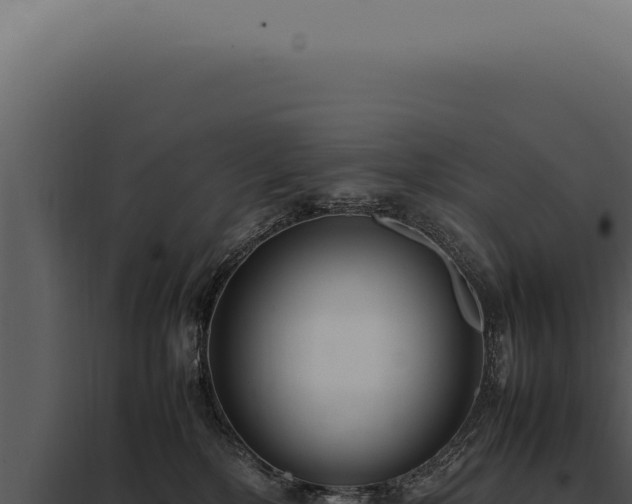 X0000097980232200804011752