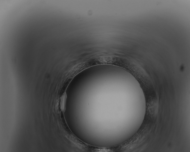X0000097980233200804011752