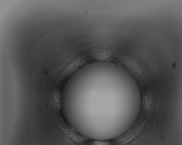 X0000097980234200804011752