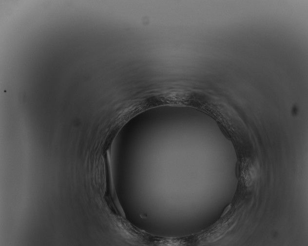 X0000097980235200804011752
