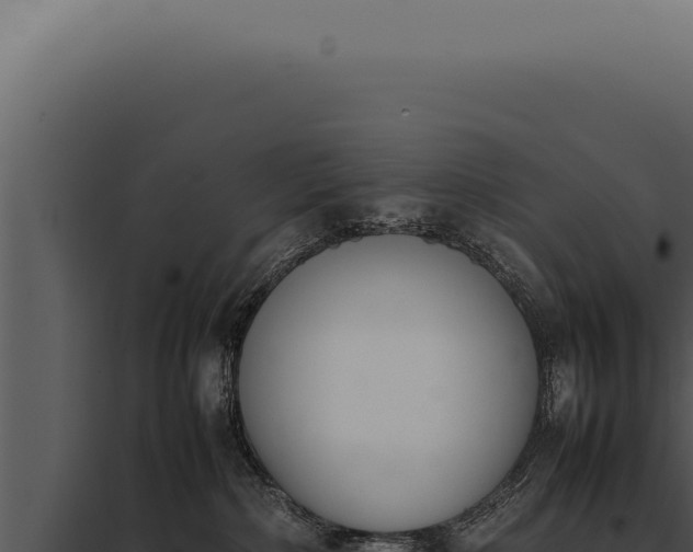 X0000097980236200804011752