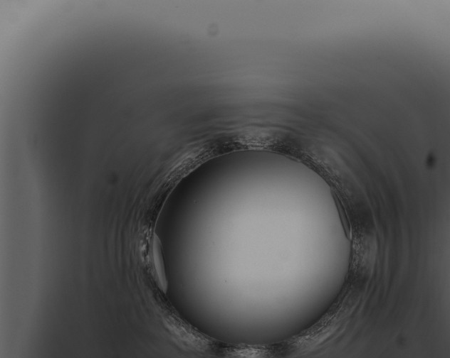 X0000097980237200804011752