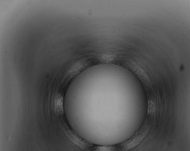 X0000097980238200804011752