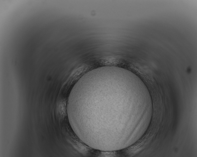 X0000097980240200804011752