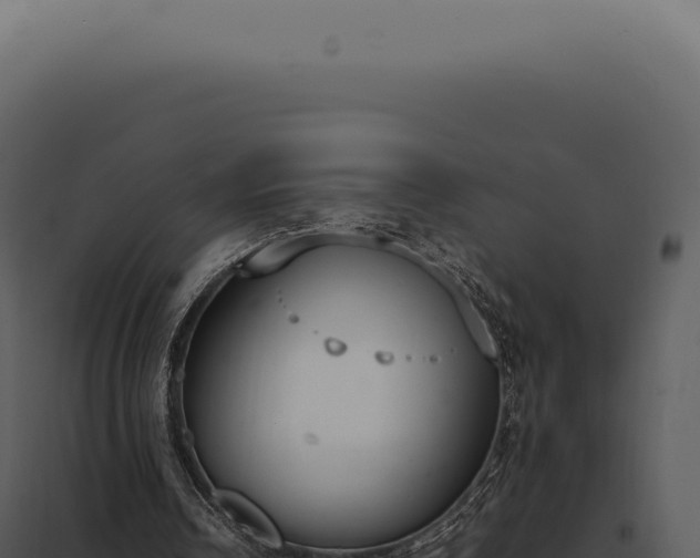 X0000097980242200804011751