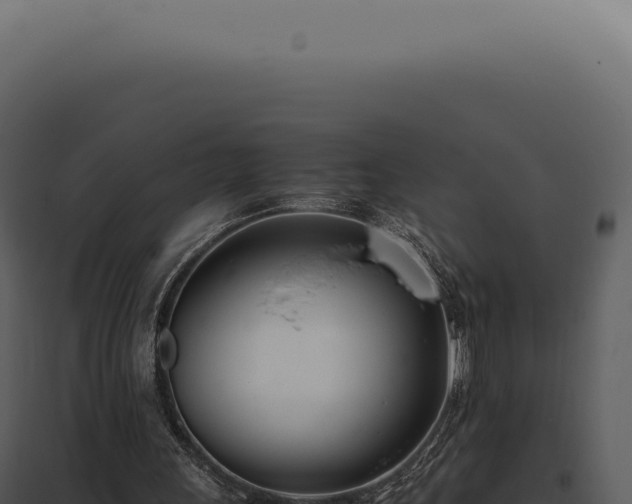 X0000097980243200804011751