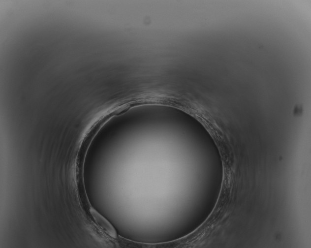 X0000097980244200804011751