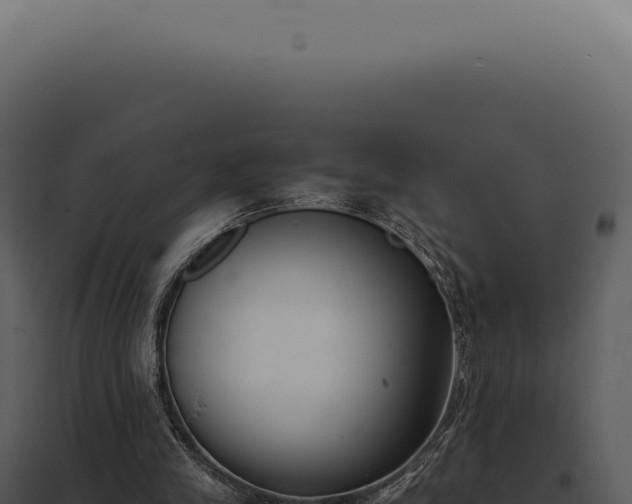X0000097980245200804011751