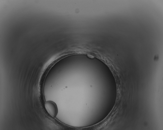 X0000097980246200804011751