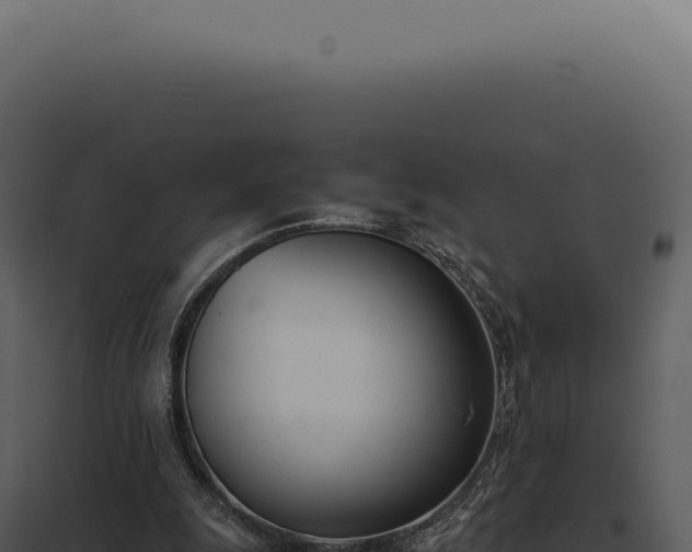 X0000097980247200804011751