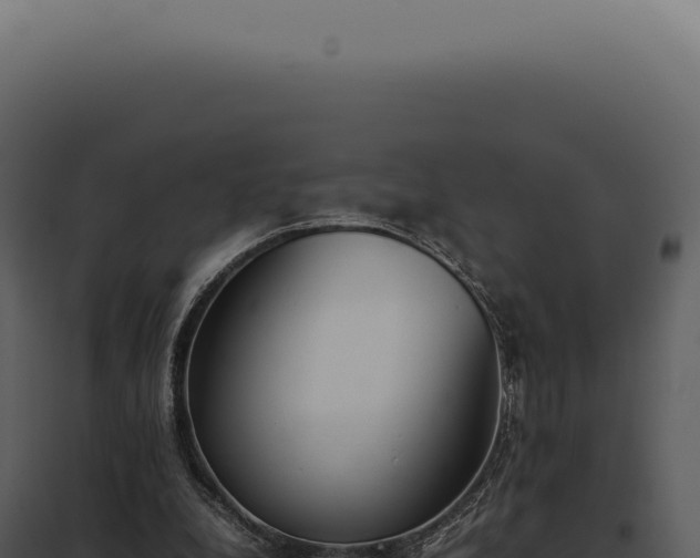X0000097980248200804011751