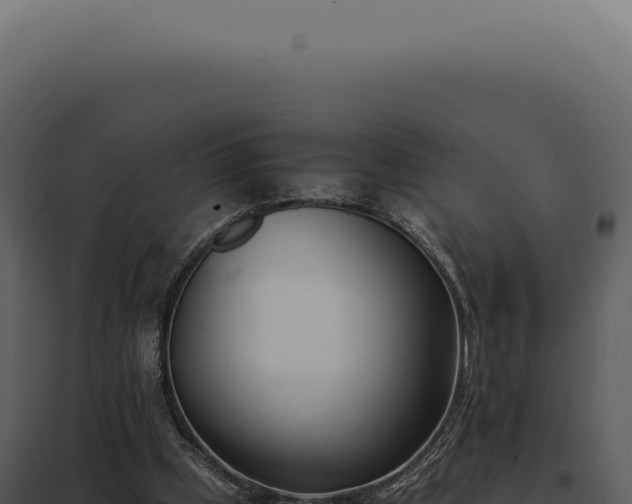 X0000097980249200804011751