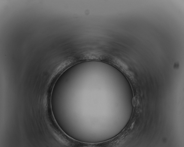X0000097980250200804011751