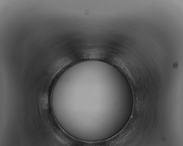 X0000097980251200804011751