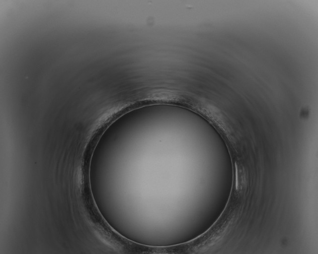 X0000097980252200804011751
