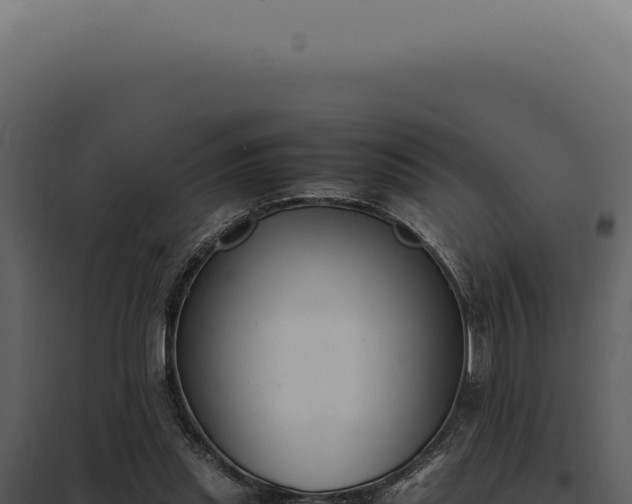 X0000097980253200804011751