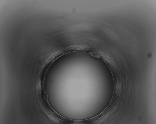 X0000097980254200804011751